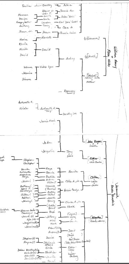 Family Tree for Geneva Earl (Bluestein) Davidson