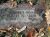 Albert Allen Moore Marker