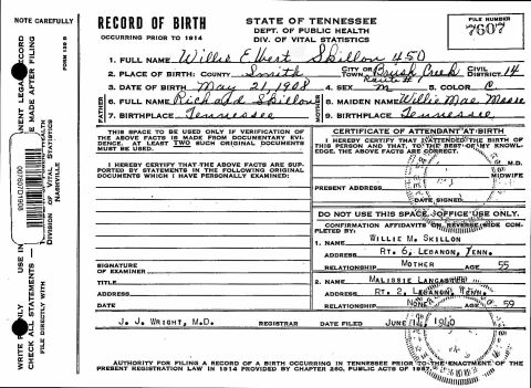Birth Record: Wille Elbert Skillion