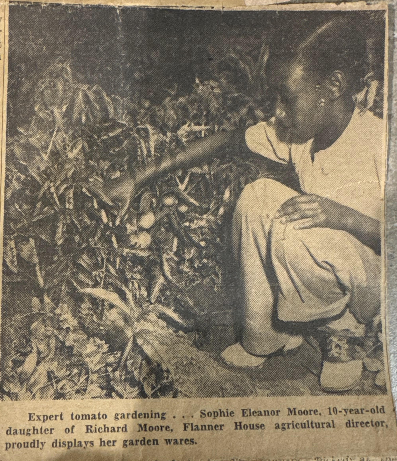 Sophie was featured in an Indianapolis Times Newspaper article when she was ten years old.