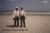 'Speedy' and 'Spot' at the beach
