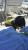 fl 160.jpg